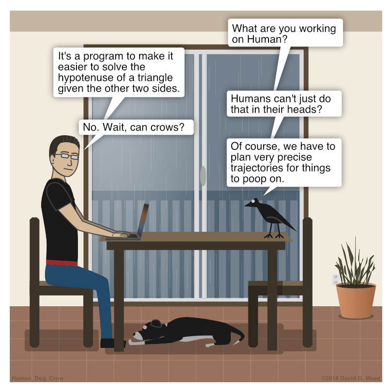 Human is typing on his computer. Crow asks, "What are you working on, Human?" Human replies "It's a program to make it easier to calculate the hypotenuse of a triangle given the other two sides." Crow asks, "Humans can't just do that in their heads?" Human replies, "No. Wait, can crows?" Crow says, "Of course, we have to plan very precise trajectories for things to poop on."