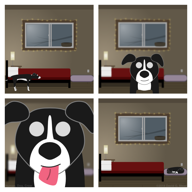 Dog walks up to the reader and licks their face to say goodnight, then goes to bed. Lucky reader.