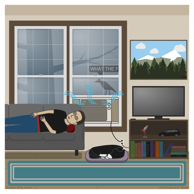 Human is sleeping on the couch, Dog is sleeping on her dog bed under the window. Instead of an open window, there is an air conditioner in place. Crow is outside the window, standing on top of the air conditioner. Crow says, "What the f...!" He is appalled that he can't get in the window.